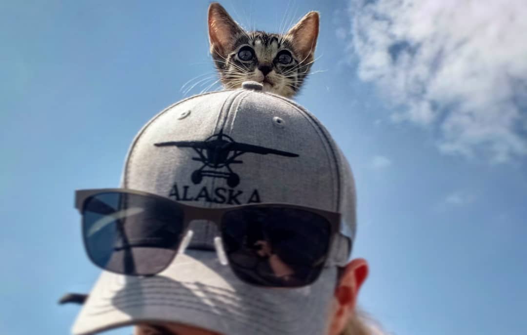 Pilots N Paws Volunteer Takes Animal Rescue to New Heights