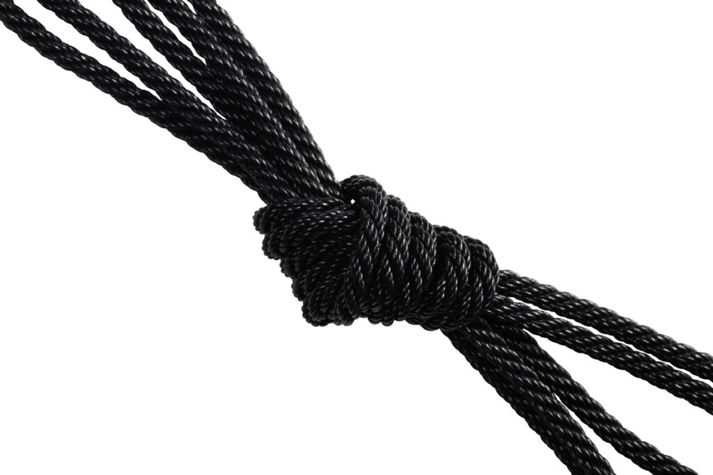 Lightspeed Kevlar Braided Cable