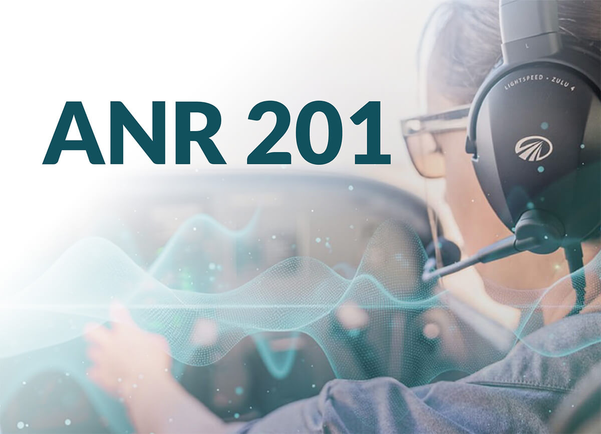 ANR 201: The Quest for MAXIMUM Quiet